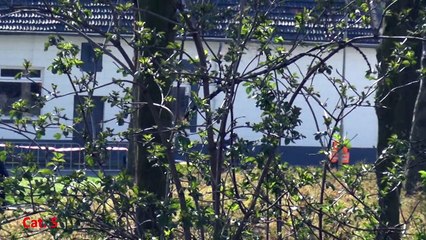 Grevenbicht Cat5+6 05-04-2015