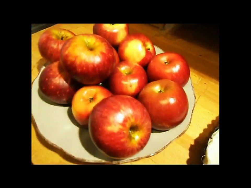 Tarte aux pommes nature