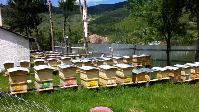 KASTAMONU BOZKURT KEŞLİK KÖYÜ