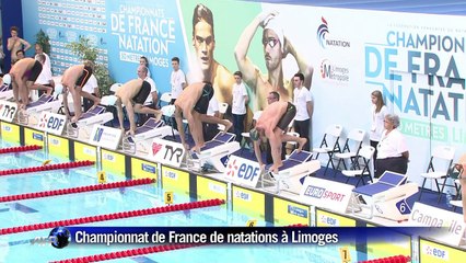 Natation: Manaudou, vainqueur logique mais déçu