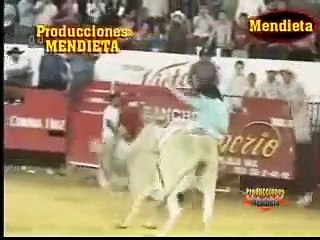 "El Toro Que Vuela" El Catrin de Rancho El Imperio de Huajapan de León Oaxaca.