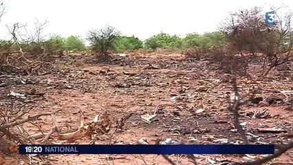 Air Algérie : un crash sans doute causé par une erreur humaine