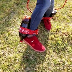 This is Amazing. Must Watch!!!