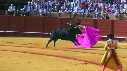 La Plaza de Toros de la Real Maestranza　@Sevilla