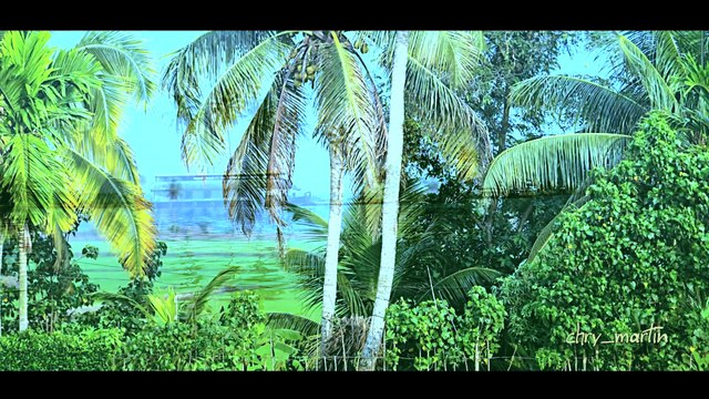 Ente Keralam എന്റെ കേരളം Super hit Malayalam Album Song by Kester Peter Cheranalloor Peter K Joseph Martin Varghese