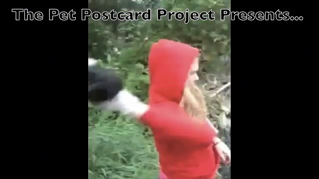 How to Properly Throw Puppies into the River (girl throws puppies in river)
