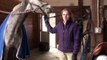 Horses Care & Grooming : How to Tack a Horse