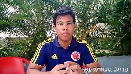 Vídeo - Introducción Ing. Sistemas (RA)