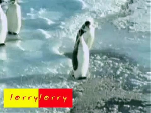 شوف وانسى همومك 185