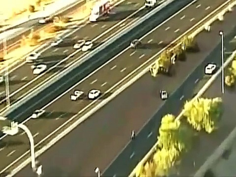 شوف وانسى همومك 1262 كلب اشغل الدنيا