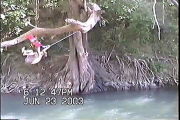 Experience the Thrill of 'Tree Slammin' - Tree Surfing Adventure 🌳