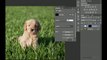 Photoshop CS6 tutorial: How to create custom borders | lynda.com