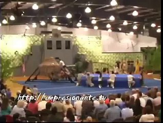 قفزت أكثر من 10 أقدام فالهواء فسقطت هامدة على الأرض