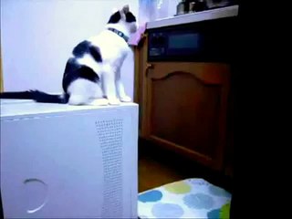 شوف وانسى همومك 1200 مين اللي؟