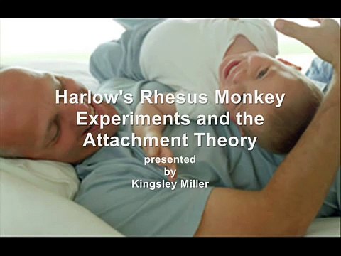Harlow's Rhesus Monkey Experiments and the Attachment Theory - Children's Rights