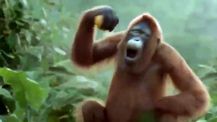 Funny Videos Fails Troll Max Level -Funny Videos Channel