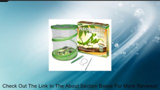 Fascinations GreenEarth Praying Mantis Kit Review