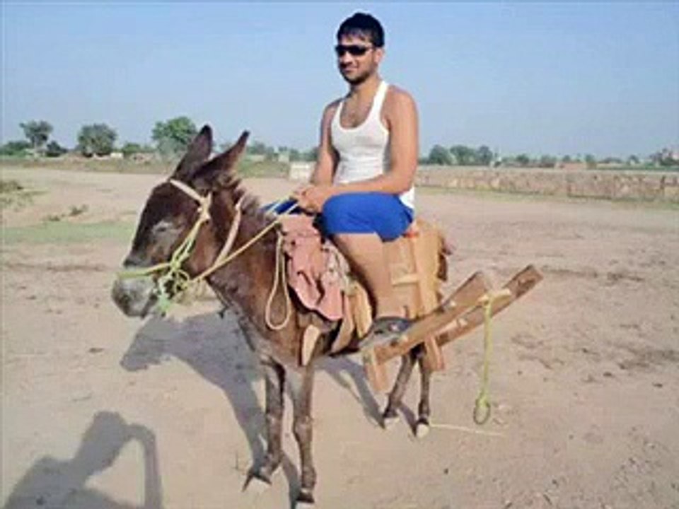 Funny Punjaabi poitery