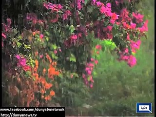 Dunya News - Rain expected in next 24 hours: PMD