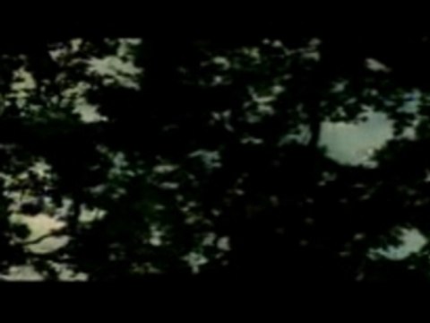 Slipknot - vermillion [pt2]