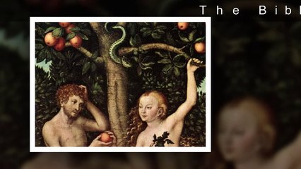 Revelationrevolution - PRETERIST BIBLE COMMENTARY