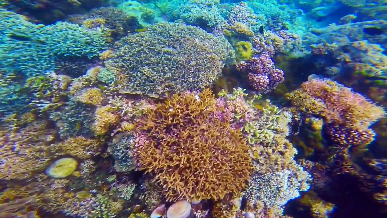 Mindoro Oriental Philippines Island Hopping