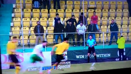 Des supporters imitent le juge de touche