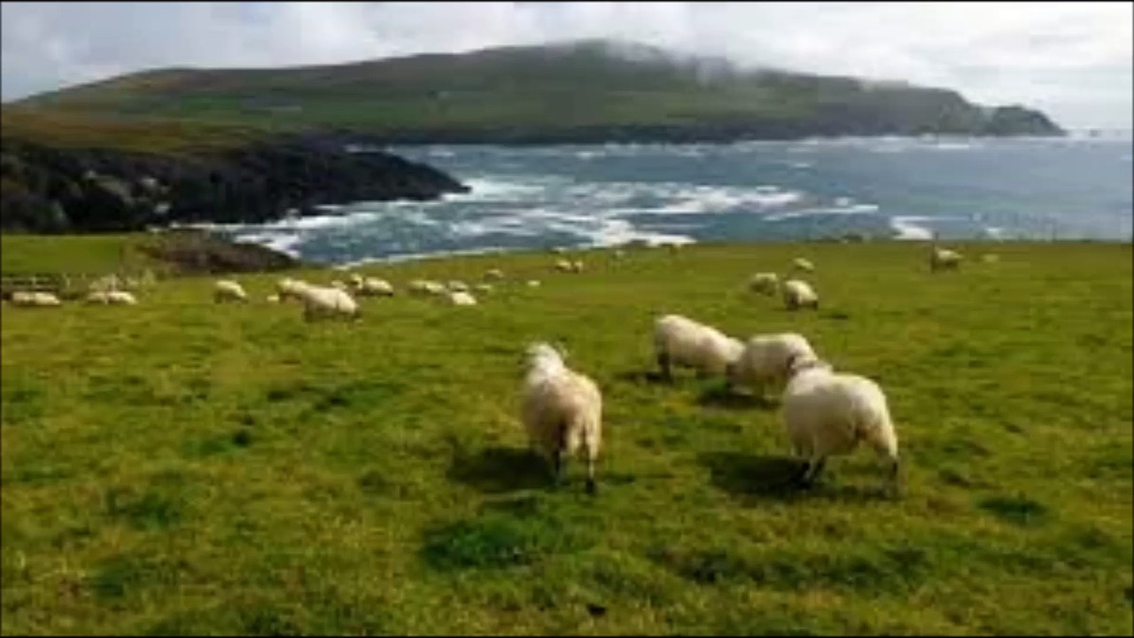 Primus Inter Pares - Gerda