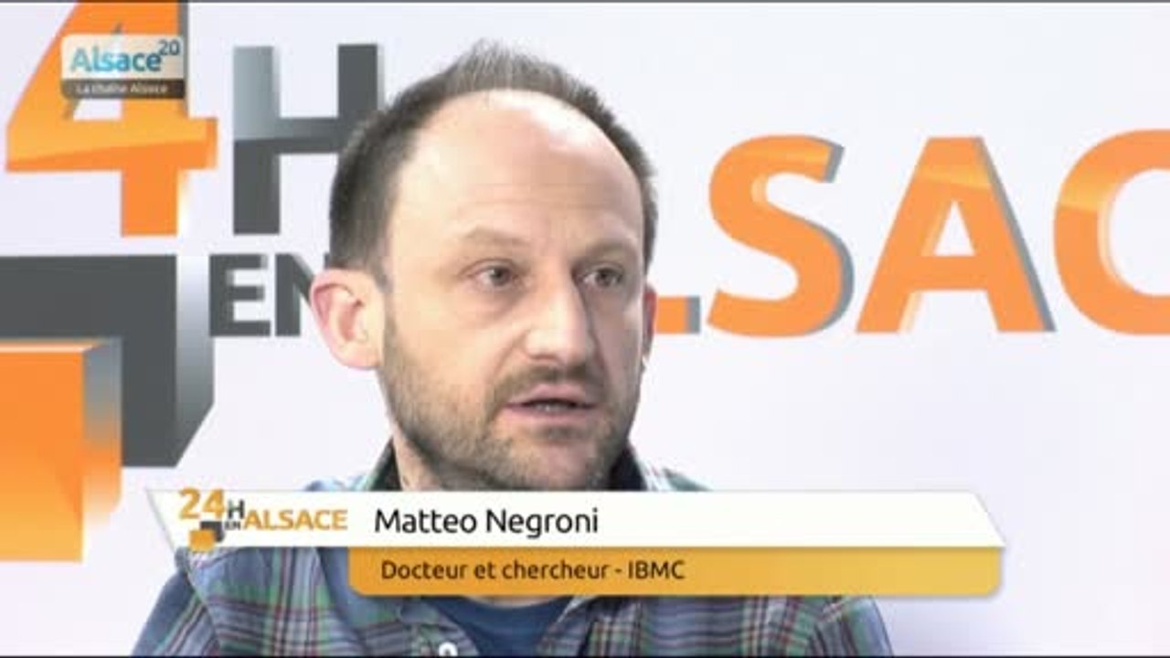 La recherche contre le sida en Alsace