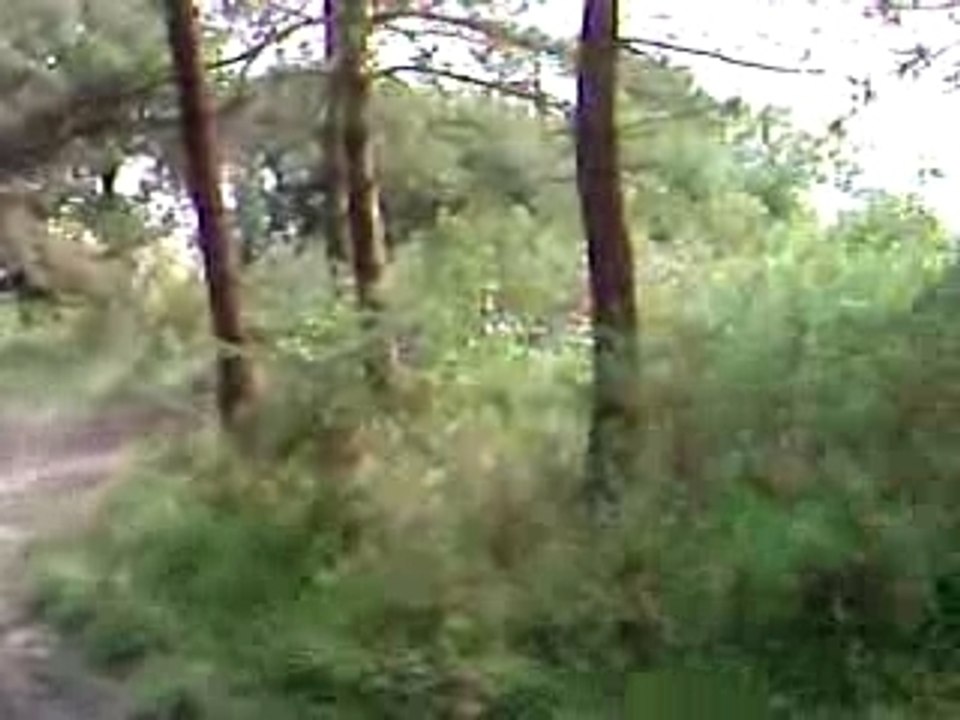 Cross 3