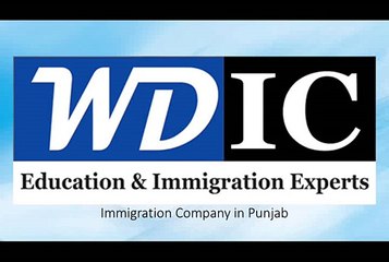 Immigration Company in Punjab