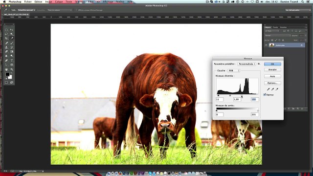 Tuto Photoshop - Créer un effet vignettage sur vos photos - Formation CC