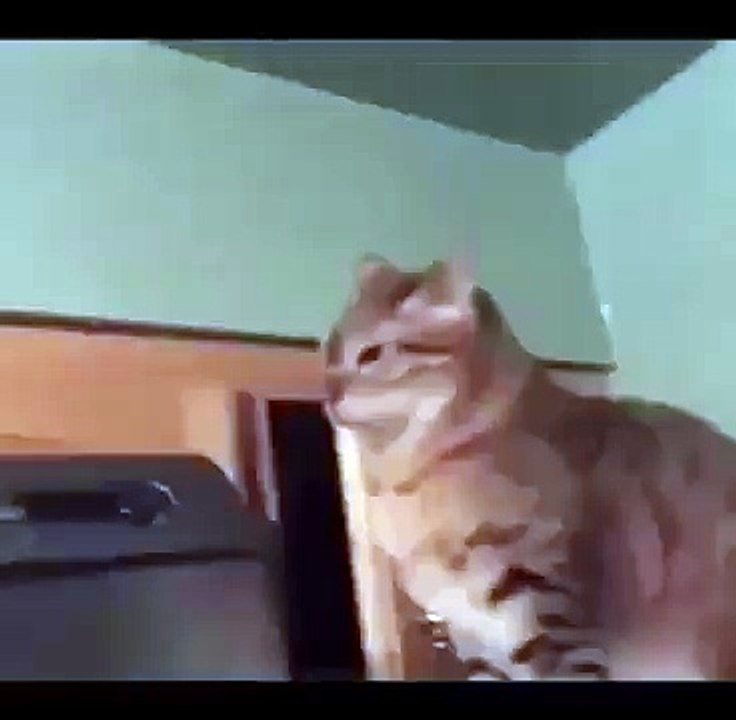 That stealth slap! haha