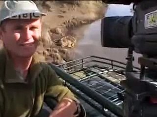 In the African jungle, it's every lion, wildebeest and crocodile for itself! - BBC wildlife