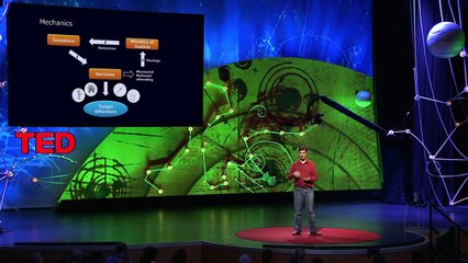 Toby Eccles: Invest in social change