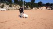 dressage canin la ciotat 13 éducation canine la ciotat toutoucool13 Pablo travail sans laisse