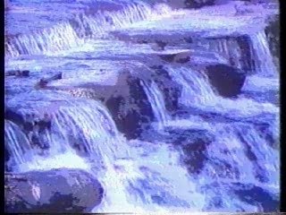 P1 Ruby Ridge The Randy Weaver Story