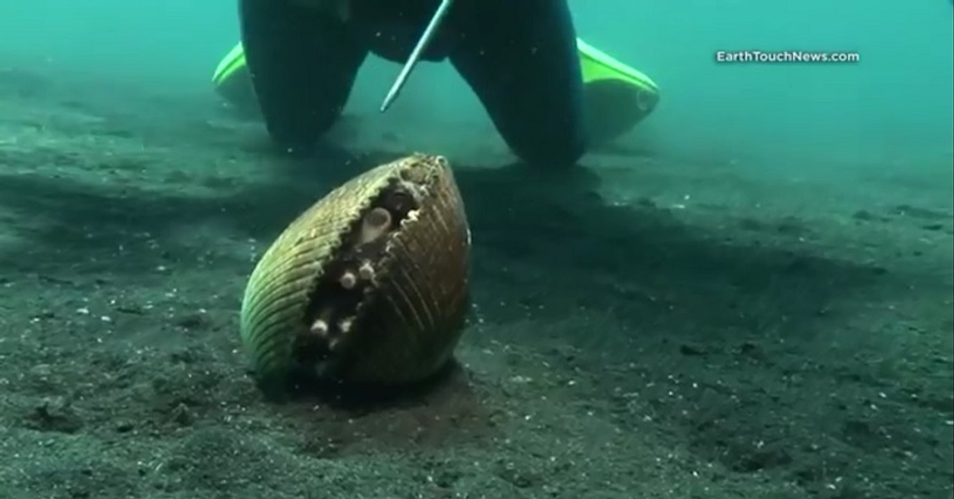 Never in a million years would I have thought this to happen