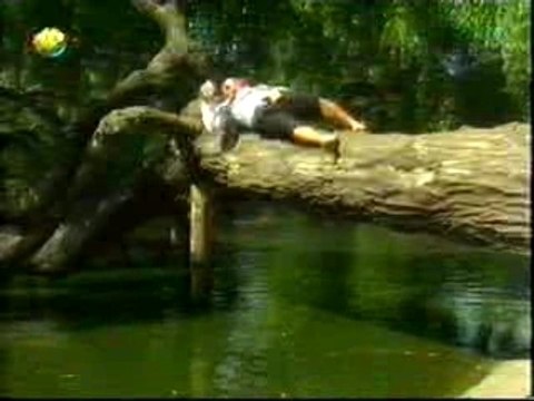 Pub pour la bière Dicht