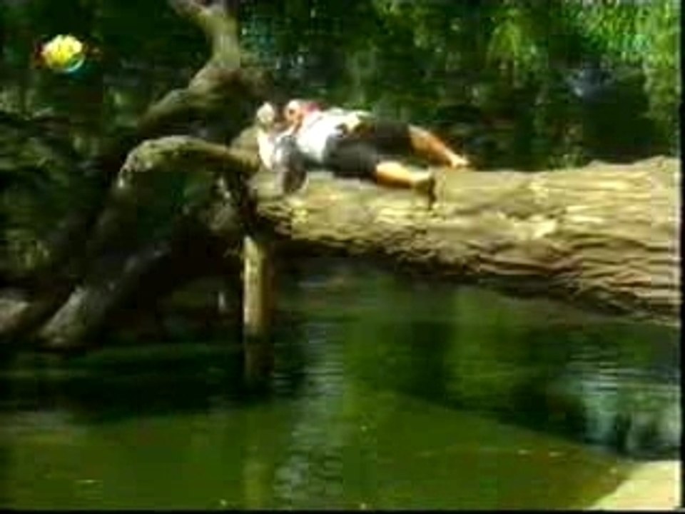 Pub pour la bière Dicht