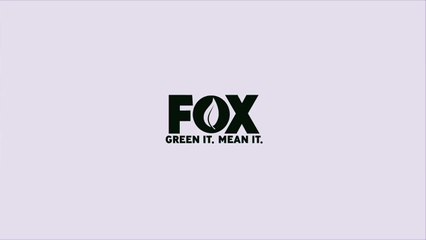 THE MINDY PROJECT   Ed Weeks  Recycle Newspapers   FOX BROADCASTING