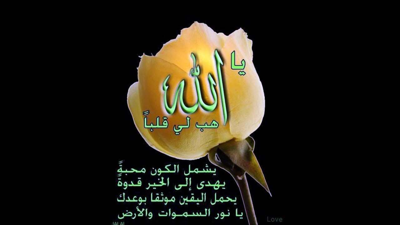 Allah cc slayt