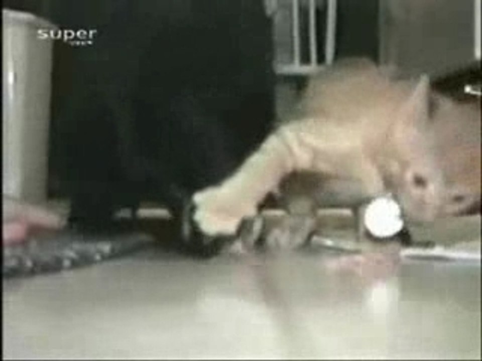 Pas touche j'ai dit! Non mais!