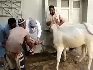 Entertainment & Fun-Must Watch and enjoy!!!!