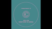 VOX LOW - Something is Wrong (Javi Redondo RMX) - 
