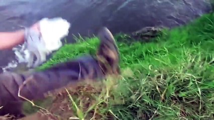 Crocodile Attacking on Photographer