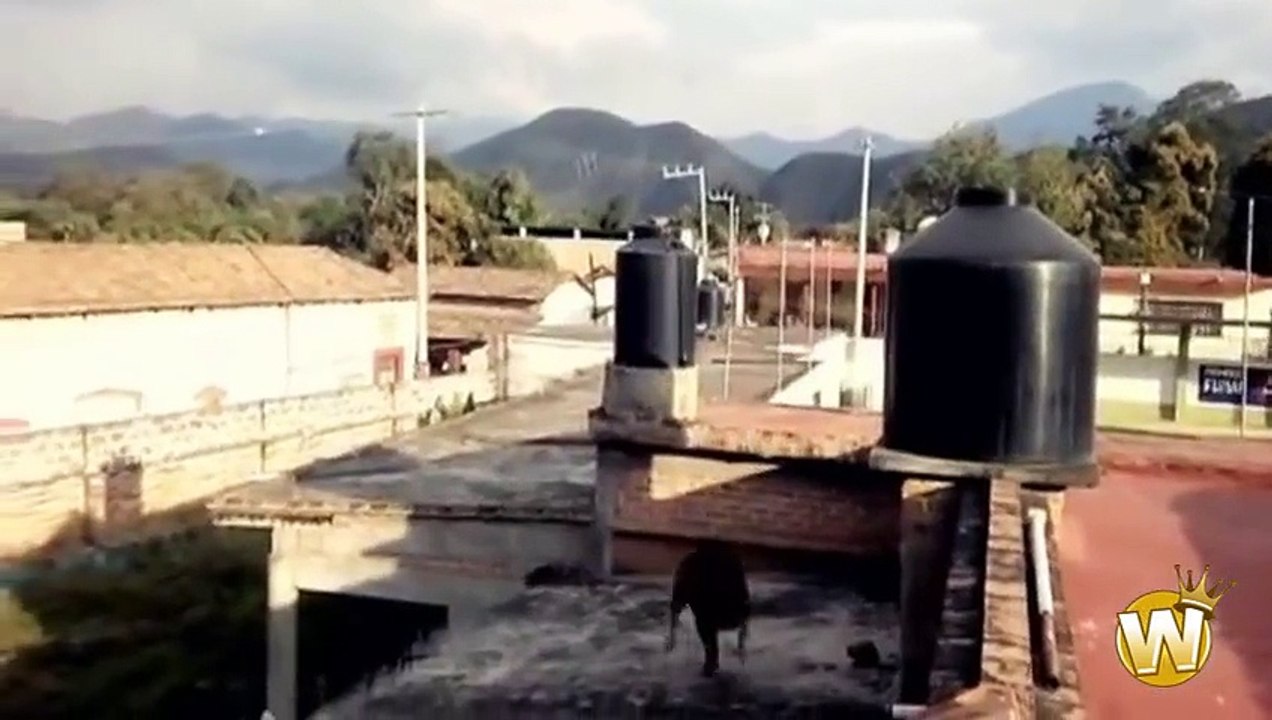 Parkour - Motivational Video