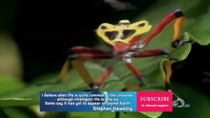 Top Best science fiction movie, film universe of Stephen Hawking Episode 1