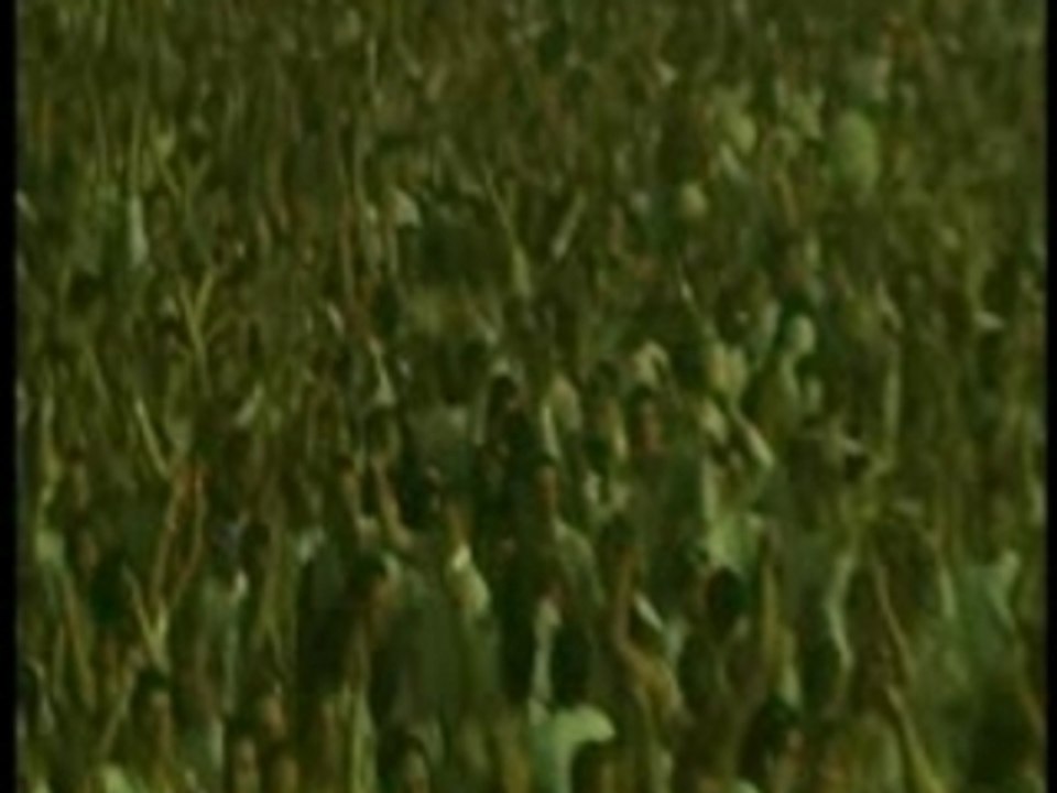 Armin van buuren feat jan vayne-serenity