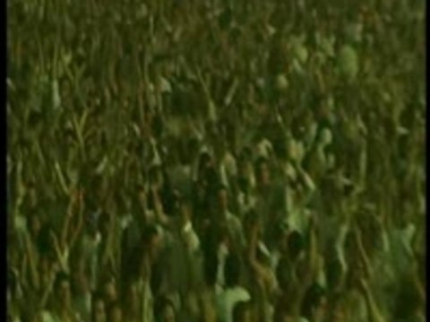 Armin van buuren feat jan vayne-serenity